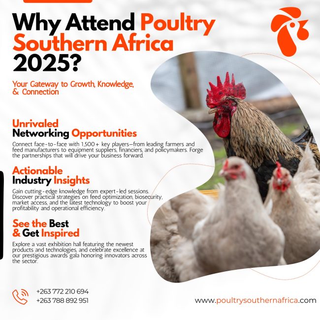 538121313_122117642642954164_1111843515125035322_n