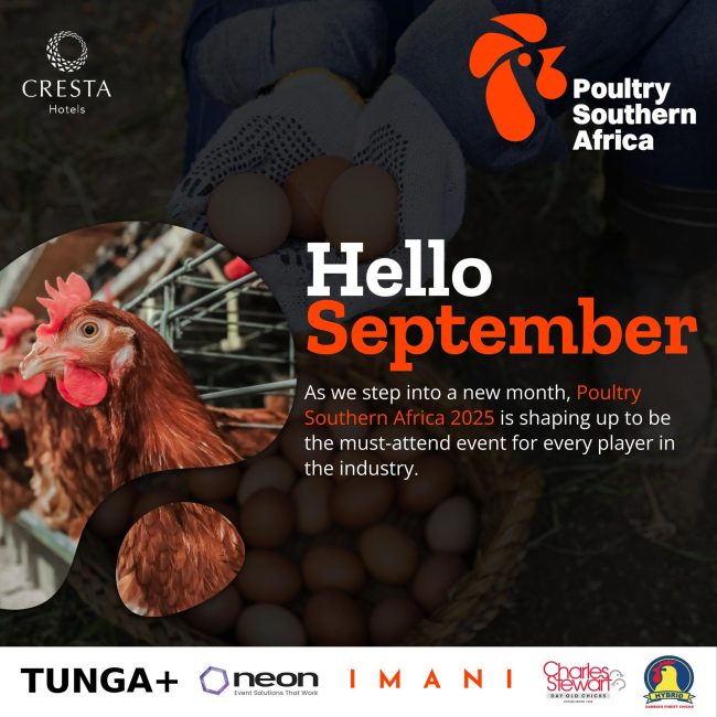 542752238_122121272540954164_1932920644582273530_n